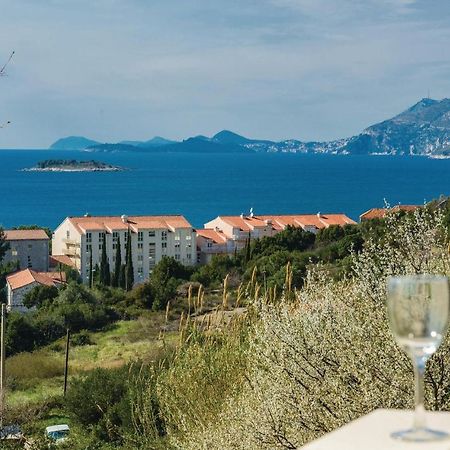 Nice Apartment In Cavtat With Wifi Exterior photo